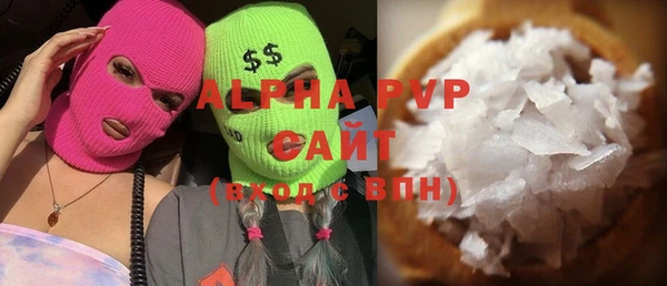 стафф Новодвинск