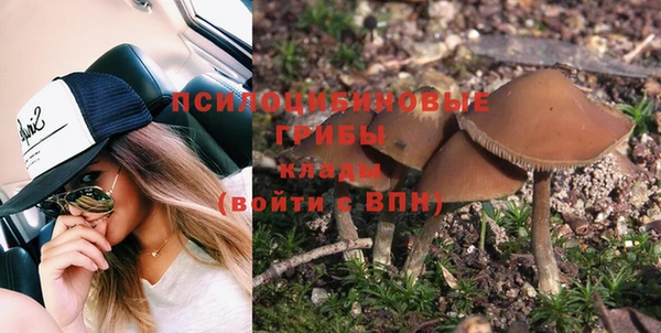 стафф Новодвинск