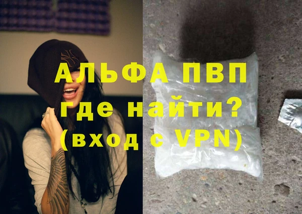 стафф Новодвинск