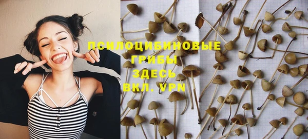 mdma Новозыбков