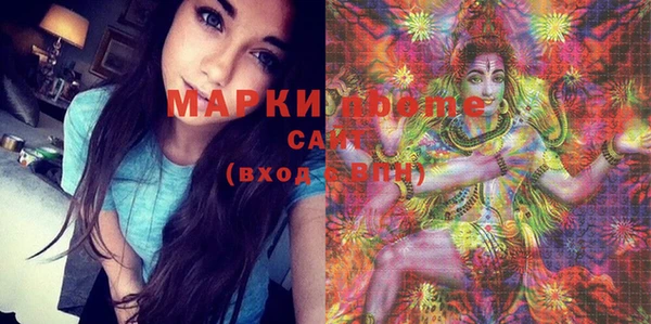 стафф Новодвинск