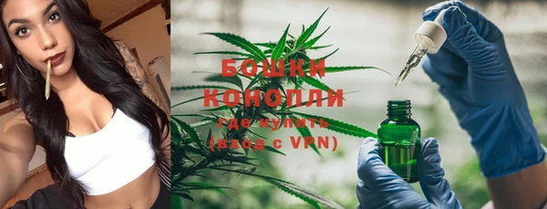 mdma Новозыбков