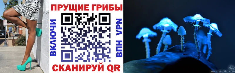 Галлюциногенные грибы Psilocybine cubensis  купить  сайты  Козьмодемьянск 
